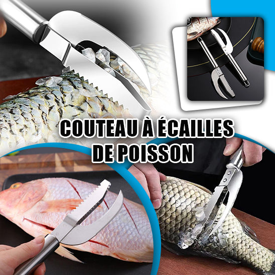 Ecailleur à Poisson